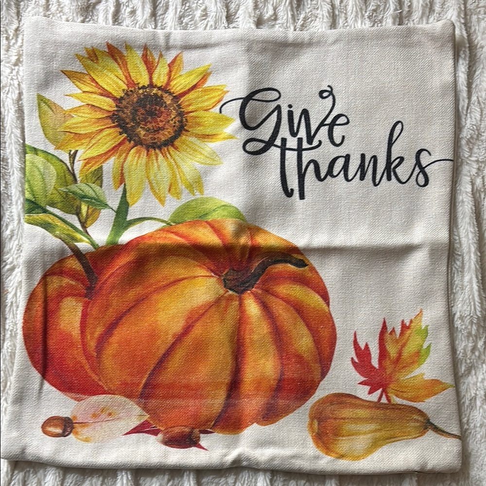 throw pillow cover